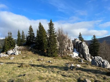 Kuzey Velebit Milli Parkı, Hırvatistan (Planinski pasnjaci i i mijesana suma u rano proljece - Nacionalni parkı Sjeverni Velebit, Hrvatska)
