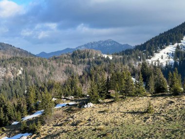 Kuzey Velebit Milli Parkı, Hırvatistan (Planinski pasnjaci i i mijesana suma u rano proljece - Nacionalni parkı Sjeverni Velebit, Hrvatska)