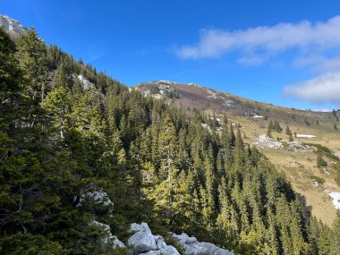 Kuzey Velebit Ulusal Parkı, Hırvatistan (Mijesana planinska suma i crnogoricno drvece tijekom ranog proljeca - NP Sjeverni Velebit, Hrvatska)