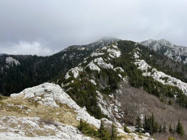 Balinovac zirvesinden karst tepeleri ve dağ ormanları - Kuzey Velebit Milli Parkı, Hırvatistan (Pogled na krske vrhove i planinsku sumu s vrha Balinovac - Nacionalni parkı Sjeverni Velebit, Hrvatska)