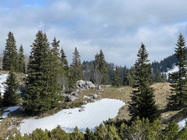 Kuzey Velednji proljetni ostaci nakon duge i ostre zime - NP Sjeverni Velebit, Hrvatska)