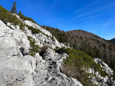 Premuzic yürüyüş yolu veya Premuzic Trail - Kuzey Velebit Ulusal Parkı, Hırvatistan veya Preguric-Wanderweg veya Premuzic 's Trail (Pjesacki planinarski Premuziceva staza - Nacionalni parkı Sjeverni Velebit, Hrvatska)