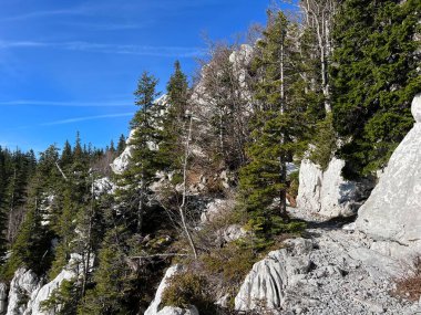 Premuzic yürüyüş yolu veya Premuzic Trail - Kuzey Velebit Ulusal Parkı, Hırvatistan veya Preguric-Wanderweg veya Premuzic 's Trail (Pjesacki planinarski Premuziceva staza - Nacionalni parkı Sjeverni Velebit, Hrvatska)