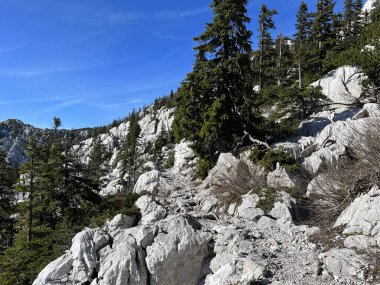 Premuzic yürüyüş yolu veya Premuzic Trail - Kuzey Velebit Ulusal Parkı, Hırvatistan veya Preguric-Wanderweg veya Premuzic 's Trail (Pjesacki planinarski Premuziceva staza - Nacionalni parkı Sjeverni Velebit, Hrvatska)