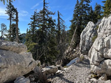 Premuzic yürüyüş yolu veya Premuzic Trail - Kuzey Velebit Ulusal Parkı, Hırvatistan veya Preguric-Wanderweg veya Premuzic 's Trail (Pjesacki planinarski Premuziceva staza - Nacionalni parkı Sjeverni Velebit, Hrvatska)