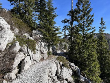 Premuzic yürüyüş yolu veya Premuzic Trail - Kuzey Velebit Ulusal Parkı, Hırvatistan veya Preguric-Wanderweg veya Premuzic 's Trail (Pjesacki planinarski Premuziceva staza - Nacionalni parkı Sjeverni Velebit, Hrvatska)