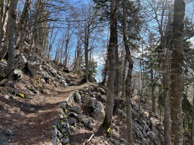 Premuzic yürüyüş yolu veya Premuzic Trail - Kuzey Velebit Ulusal Parkı, Hırvatistan veya Preguric-Wanderweg veya Premuzic 's Trail (Pjesacki planinarski Premuziceva staza - Nacionalni parkı Sjeverni Velebit, Hrvatska)