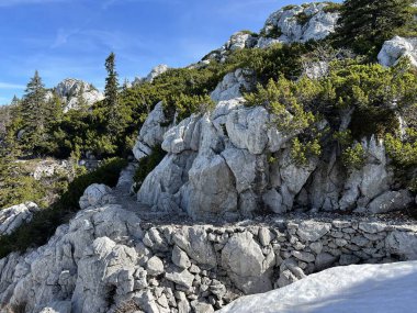 Premuzic yürüyüş yolu veya Premuzic Trail - Kuzey Velebit Ulusal Parkı, Hırvatistan veya Preguric-Wanderweg veya Premuzic 's Trail (Pjesacki planinarski Premuziceva staza - Nacionalni parkı Sjeverni Velebit, Hrvatska)