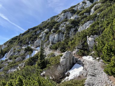 Premuzic yürüyüş yolu veya Premuzic Trail - Kuzey Velebit Ulusal Parkı, Hırvatistan veya Preguric-Wanderweg veya Premuzic 's Trail (Pjesacki planinarski Premuziceva staza - Nacionalni parkı Sjeverni Velebit, Hrvatska)