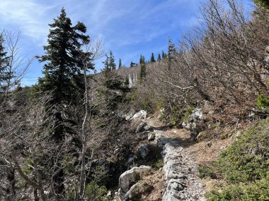 Premuzic yürüyüş yolu veya Premuzic Trail - Kuzey Velebit Ulusal Parkı, Hırvatistan veya Preguric-Wanderweg veya Premuzic 's Trail (Pjesacki planinarski Premuziceva staza - Nacionalni parkı Sjeverni Velebit, Hrvatska)