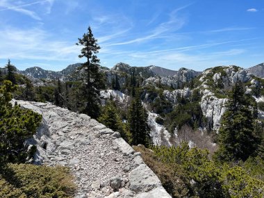 Premuzic yürüyüş yolu veya Premuzic Trail - Kuzey Velebit Ulusal Parkı, Hırvatistan veya Preguric-Wanderweg veya Premuzic 's Trail (Pjesacki planinarski Premuziceva staza - Nacionalni parkı Sjeverni Velebit, Hrvatska)