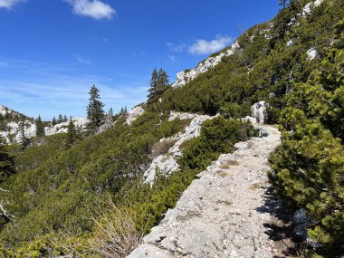 Premuzic yürüyüş yolu veya Premuzic Trail - Kuzey Velebit Ulusal Parkı, Hırvatistan veya Preguric-Wanderweg veya Premuzic 's Trail (Pjesacki planinarski Premuziceva staza - Nacionalni parkı Sjeverni Velebit, Hrvatska)