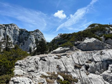 Premuzic yürüyüş yolu veya Premuzic Trail - Kuzey Velebit Ulusal Parkı, Hırvatistan veya Preguric-Wanderweg veya Premuzic 's Trail (Pjesacki planinarski Premuziceva staza - Nacionalni parkı Sjeverni Velebit, Hrvatska)