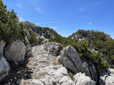 Premuzic yürüyüş yolu veya Premuzic Trail - Kuzey Velebit Ulusal Parkı, Hırvatistan veya Preguric-Wanderweg veya Premuzic 's Trail (Pjesacki planinarski Premuziceva staza - Nacionalni parkı Sjeverni Velebit, Hrvatska)