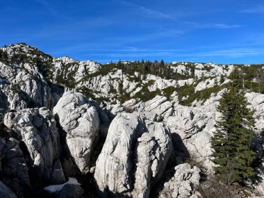 Kayalık kireçtaşı zirveleri Hajducki ve Rozanski kukovi - Kuzey Velebit Ulusal Parkı, Hırvatistan (Strogi rezervat Hajducki i Rozanski kukovi - Nacionalni parkı Sjeverni Velebit, Hrvatska)