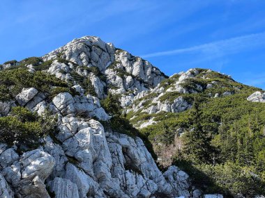 Kayalık kireçtaşı zirveleri Hajducki ve Rozanski kukovi - Kuzey Velebit Ulusal Parkı, Hırvatistan (Strogi rezervat Hajducki i Rozanski kukovi - Nacionalni parkı Sjeverni Velebit, Hrvatska)