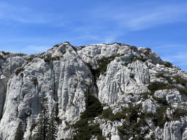 Kayalık kireçtaşı zirveleri Hajducki ve Rozanski kukovi - Kuzey Velebit Ulusal Parkı, Hırvatistan (Strogi rezervat Hajducki i Rozanski kukovi - Nacionalni parkı Sjeverni Velebit, Hrvatska)