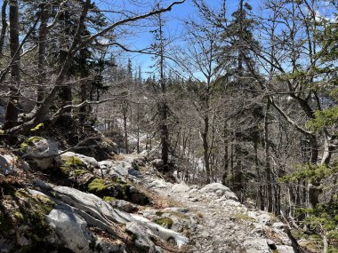 Premuzic yürüyüş yolu veya Premuzic Trail - Kuzey Velebit Ulusal Parkı, Hırvatistan veya Preguric-Wanderweg veya Premuzic 's Trail (Pjesacki planinarski Premuziceva staza - Nacionalni parkı Sjeverni Velebit, Hrvatska)