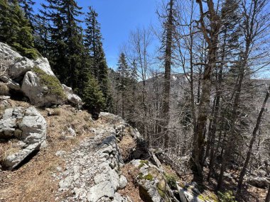 Premuzic yürüyüş yolu veya Premuzic Trail - Kuzey Velebit Ulusal Parkı, Hırvatistan veya Preguric-Wanderweg veya Premuzic 's Trail (Pjesacki planinarski Premuziceva staza - Nacionalni parkı Sjeverni Velebit, Hrvatska)
