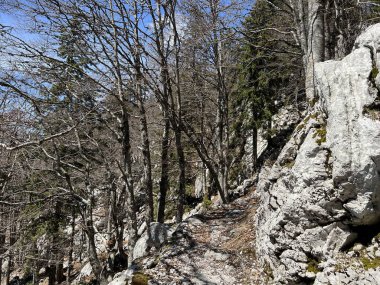 Premuzic yürüyüş yolu veya Premuzic Trail - Kuzey Velebit Ulusal Parkı, Hırvatistan veya Preguric-Wanderweg veya Premuzic 's Trail (Pjesacki planinarski Premuziceva staza - Nacionalni parkı Sjeverni Velebit, Hrvatska)