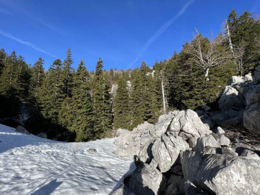Uzun ve sert bir dağ kışından sonra bahar karının son kalıntıları - Kuzey Velebit Ulusal Parkı, Hırvatistan (Posljednji proljetni ostaci snijega nakon duge i ostre zime - Nacionalni Park Sjeverni Velebit, Hrvatska)