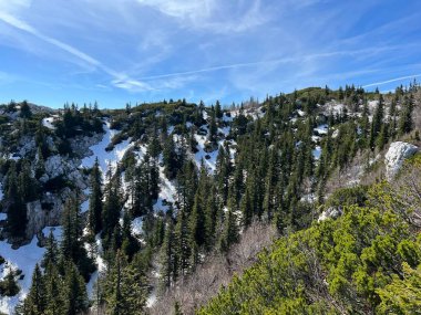 Uzun ve sert bir dağ kışından sonra bahar karının son kalıntıları - Kuzey Velebit Ulusal Parkı, Hırvatistan (Posljednji proljetni ostaci snijega nakon duge i ostre zime - Nacionalni Park Sjeverni Velebit, Hrvatska)