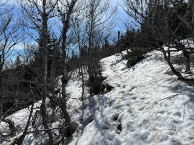 Uzun ve sert bir dağ kışından sonra bahar karının son kalıntıları - Kuzey Velebit Ulusal Parkı, Hırvatistan (Posljednji proljetni ostaci snijega nakon duge i ostre zime - Nacionalni Park Sjeverni Velebit, Hrvatska)