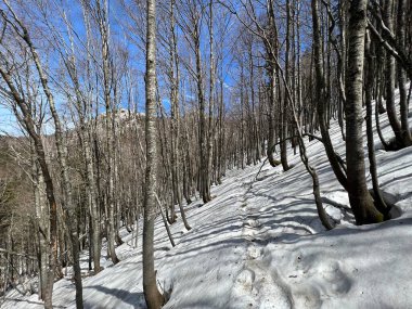 Uzun ve sert bir dağ kışından sonra bahar karının son kalıntıları - Kuzey Velebit Ulusal Parkı, Hırvatistan (Posljednji proljetni ostaci snijega nakon duge i ostre zime - Nacionalni Park Sjeverni Velebit, Hrvatska)