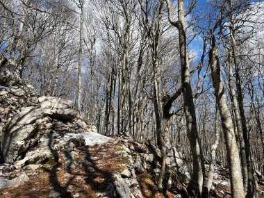Premuzic yürüyüş yolu veya Premuzic Trail - Kuzey Velebit Ulusal Parkı, Hırvatistan veya Preguric-Wanderweg veya Premuzic 's Trail (Pjesacki planinarski Premuziceva staza - Nacionalni parkı Sjeverni Velebit, Hrvatska)
