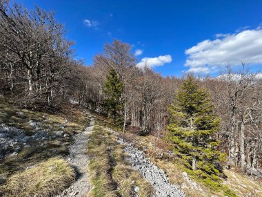 Premuzic yürüyüş yolu veya Premuzic Trail - Kuzey Velebit Ulusal Parkı, Hırvatistan veya Preguric-Wanderweg veya Premuzic 's Trail (Pjesacki planinarski Premuziceva staza - Nacionalni parkı Sjeverni Velebit, Hrvatska)