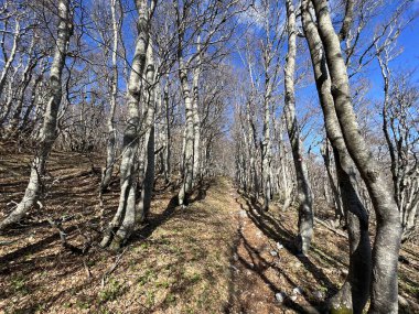 Premuzic yürüyüş yolu veya Premuzic Trail - Kuzey Velebit Ulusal Parkı, Hırvatistan veya Preguric-Wanderweg veya Premuzic 's Trail (Pjesacki planinarski Premuziceva staza - Nacionalni parkı Sjeverni Velebit, Hrvatska)