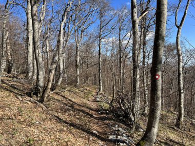 Premuzic yürüyüş yolu veya Premuzic Trail - Kuzey Velebit Ulusal Parkı, Hırvatistan veya Preguric-Wanderweg veya Premuzic 's Trail (Pjesacki planinarski Premuziceva staza - Nacionalni parkı Sjeverni Velebit, Hrvatska)