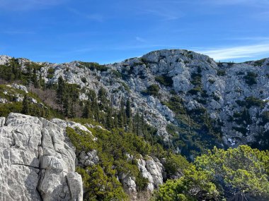 Rocky karst zirveleri ve karışık dağ ormanları - Kuzey Velebit Ulusal Parkı, Hırvatistan (Stjenoviti krski vrhovi i mijesana planinska suma - Nacionalni parkı Sjeverni Velebit, Hrvatska)