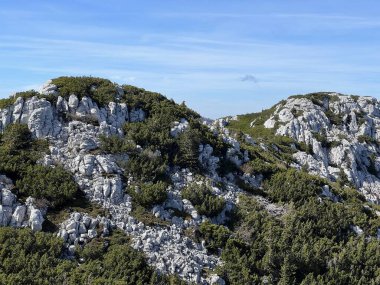 Rocky karst zirveleri ve karışık dağ ormanları - Kuzey Velebit Ulusal Parkı, Hırvatistan (Stjenoviti krski vrhovi i mijesana planinska suma - Nacionalni parkı Sjeverni Velebit, Hrvatska)