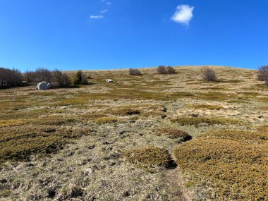Kuzey Velebit Ulusal Parkı, Hırvatistan (Proljetni planinski pasnjaci i i budjenje vejeterje nakon ostre duge zime - Nacionalni parkı Sjeverni Velebit, Hrvatska)