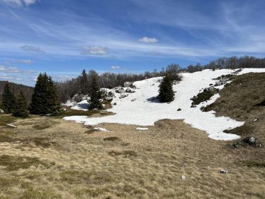 Uzun ve sert bir dağ kışından sonra bahar karının son kalıntıları - Kuzey Velebit Ulusal Parkı, Hırvatistan (Posljednji proljetni ostaci snijega nakon duge i ostre zime - Nacionalni Park Sjeverni Velebit, Hrvatska)