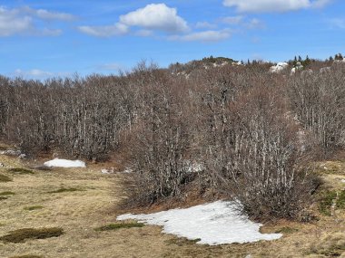 Uzun ve sert bir dağ kışından sonra bahar karının son kalıntıları - Kuzey Velebit Ulusal Parkı, Hırvatistan (Posljednji proljetni ostaci snijega nakon duge i ostre zime - Nacionalni Park Sjeverni Velebit, Hrvatska)