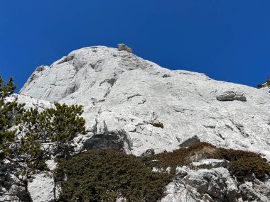 Kireçtaşı kayaları ve karst dağ manzarası - Kuzey Velebit Milli Parkı, Hırvatistan (Vapnenacke stijene i krski planinski krajolik - Nacionalni parkı Sjeverni Velebit, Hrvatska)
