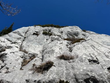 Kireçtaşı kayaları ve karst dağ manzarası - Kuzey Velebit Milli Parkı, Hırvatistan (Vapnenacke stijene i krski planinski krajolik - Nacionalni parkı Sjeverni Velebit, Hrvatska)