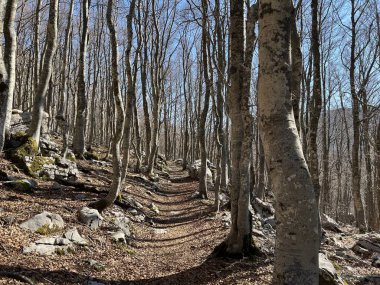 Premuzic yürüyüş yolu veya Preguric Trail - Velebit Doğa Parkı, Hırvatistan veya Preguric-Wanderweg veya Premuzic 's Trail (Pjesacki planinarski, Premuziceva staza - Park öncelikli Velebit, Hrvatska)