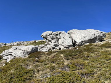 Kireçtaşı kayaları ve karst dağ manzarası - Kuzey Velebit Milli Parkı, Hırvatistan (Vapnenacke stijene i krski planinski krajolik - Nacionalni parkı Sjeverni Velebit, Hrvatska)