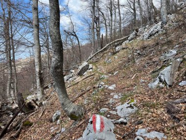 Premuzic yürüyüş yolu veya Preguric Trail - Velebit Doğa Parkı, Hırvatistan veya Preguric-Wanderweg veya Premuzic 's Trail (Pjesacki planinarski, Premuziceva staza - Park öncelikli Velebit, Hrvatska)