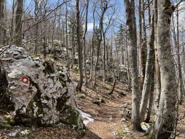 Premuzic yürüyüş yolu veya Preguric Trail - Velebit Doğa Parkı, Hırvatistan veya Preguric-Wanderweg veya Premuzic 's Trail (Pjesacki planinarski, Premuziceva staza - Park öncelikli Velebit, Hrvatska)