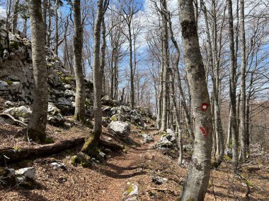 Premuzic yürüyüş yolu veya Preguric Trail - Velebit Doğa Parkı, Hırvatistan veya Preguric-Wanderweg veya Premuzic 's Trail (Pjesacki planinarski, Premuziceva staza - Park öncelikli Velebit, Hrvatska)