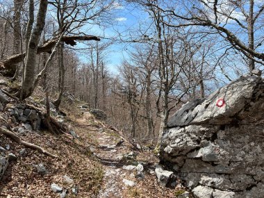 Premuzic yürüyüş yolu veya Preguric Trail - Velebit Doğa Parkı, Hırvatistan veya Preguric-Wanderweg veya Premuzic 's Trail (Pjesacki planinarski, Premuziceva staza - Park öncelikli Velebit, Hrvatska)