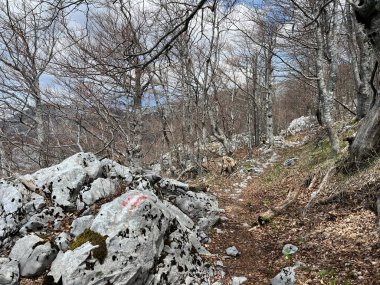 Premuzic yürüyüş yolu veya Preguric Trail - Velebit Doğa Parkı, Hırvatistan veya Preguric-Wanderweg veya Premuzic 's Trail (Pjesacki planinarski, Premuziceva staza - Park öncelikli Velebit, Hrvatska)