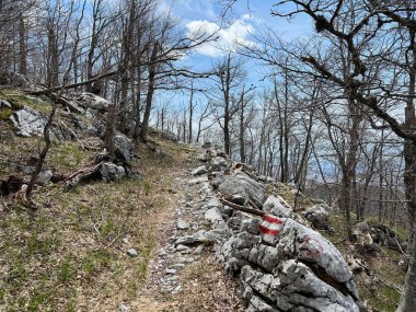 Premuzic yürüyüş yolu veya Preguric Trail - Velebit Doğa Parkı, Hırvatistan veya Preguric-Wanderweg veya Premuzic 's Trail (Pjesacki planinarski, Premuziceva staza - Park öncelikli Velebit, Hrvatska)