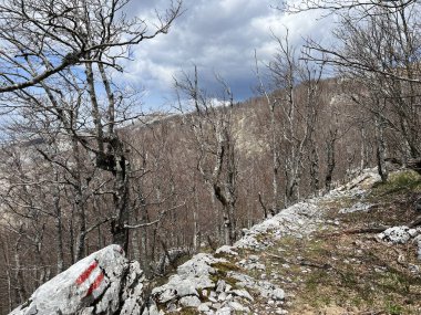 Premuzic yürüyüş yolu veya Preguric Trail - Velebit Doğa Parkı, Hırvatistan veya Preguric-Wanderweg veya Premuzic 's Trail (Pjesacki planinarski, Premuziceva staza - Park öncelikli Velebit, Hrvatska)