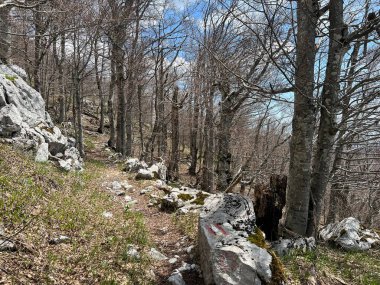 Premuzic yürüyüş yolu veya Preguric Trail - Velebit Doğa Parkı, Hırvatistan veya Preguric-Wanderweg veya Premuzic 's Trail (Pjesacki planinarski, Premuziceva staza - Park öncelikli Velebit, Hrvatska)