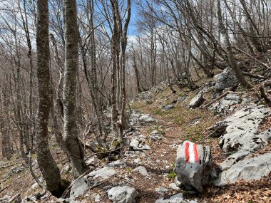 Premuzic yürüyüş yolu veya Preguric Trail - Velebit Doğa Parkı, Hırvatistan veya Preguric-Wanderweg veya Premuzic 's Trail (Pjesacki planinarski, Premuziceva staza - Park öncelikli Velebit, Hrvatska)